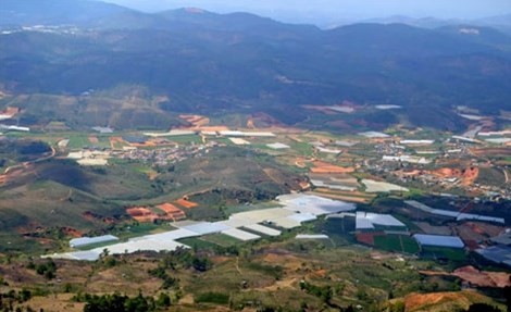 A 490-hectare safari park will be built in Lạc Dương District of Da Lat city (Photo: vietq.vn) A 490-hectare safari park will be built in Lạc Dương District of Da Lat city (Photo: vietq.vn)