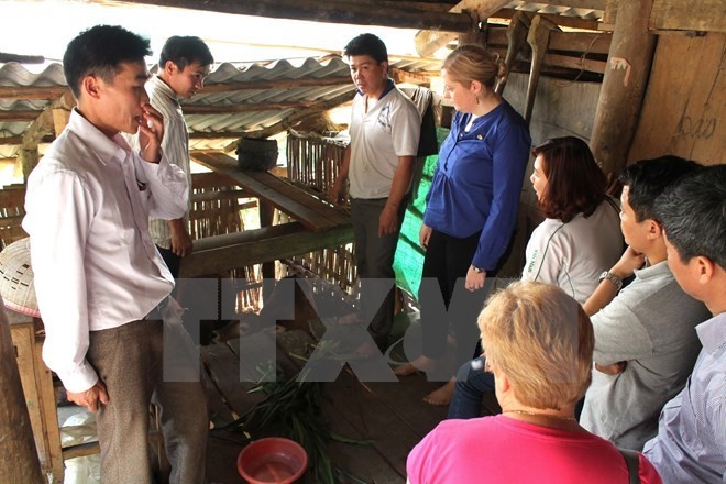 Irish Ambassador to Vietnam Cait Moran during the working visit (Source:VNA) Irish Ambassador to Vietnam Cait Moran during the working visit (Source:VNA)