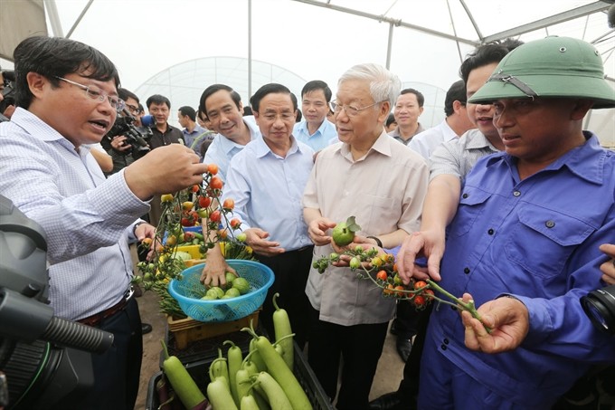 Party General Secretary Nguyễn Phú Trọng visits a project to produce high-quality vegetables and fruits using modern technology, while in the central province of Hà Tĩnh yesterday. (Photo: VNA/VNS) Party General Secretary Nguyễn Phú Trọng visits a project to produce high-quality vegetables and fruits using modern technology, while in the central province of Hà Tĩnh yesterday. (Photo: VNA/VNS)
