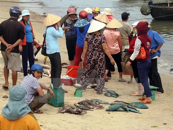 Local residents worry about the mass fish death (Source: VNA) Local residents worry about the mass fish death (Source: VNA)
