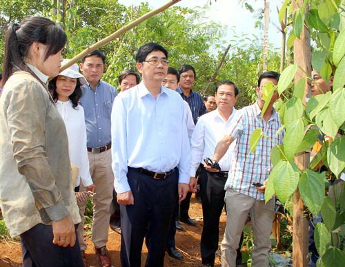 Minister of Agriculture and Rural Development and local authorities inspect drought situation in Bu Dop district of Binh Phuoc province. (Photo:SGGP) Minister of Agriculture and Rural Development and local authorities inspect drought situation in Bu Dop district of Binh Phuoc province. (Photo:SGGP)