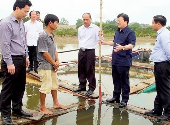 Deputy Prime Minister Trinh Dinh Dung (2nd, R) visits seafood breeders in Ky Anh town, Ha Tinh province on April 24 (Photo: SGGP) Deputy Prime Minister Trinh Dinh Dung (2nd, R) visits seafood breeders in Ky Anh town, Ha Tinh province on April 24 (Photo: SGGP)