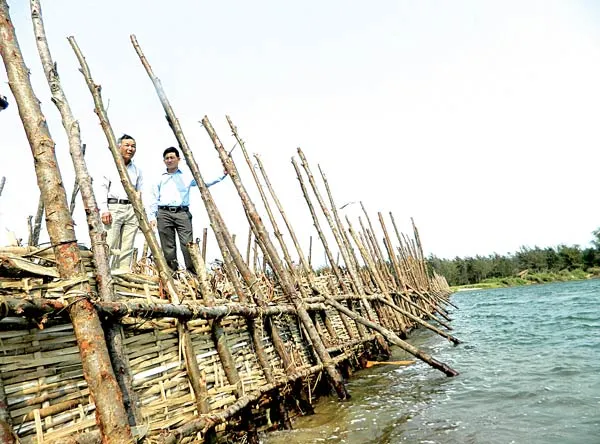 Bài 1: Đắp đập, dồn cát, trồng rau xanh ảnh 3 Bài 1: Đắp đập, dồn cát, trồng rau xanh ảnh 3