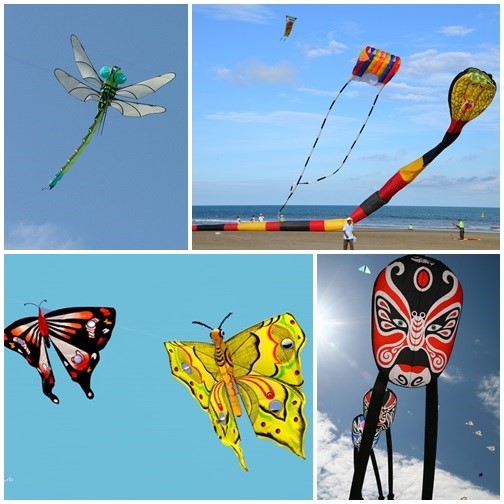Kites in different shapes and colours are brought to the festival (Photo: ecopark.com) Kites in different shapes and colours are brought to the festival (Photo: ecopark.com)