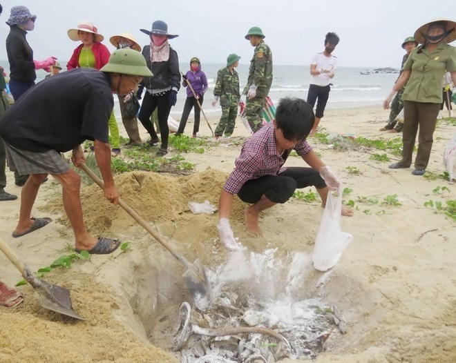 Locals destroy dead fish in the north central region (Source: VNA) Locals destroy dead fish in the north central region (Source: VNA)