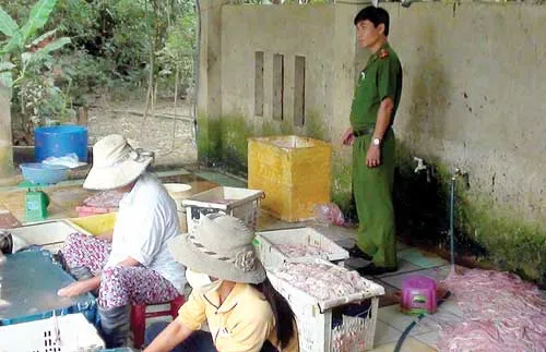 Đà Nẵng: Phát hiện cơ sở chứa 6 tấn lòng heo bẩn