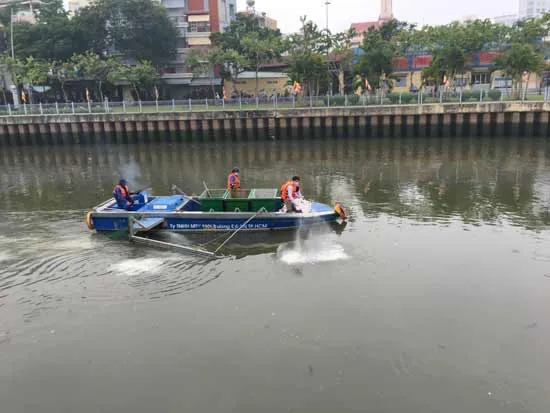 Khẩn trương giải quyết tình trạng cá chết trên kênh Nhiêu Lộc – Thị Nghè