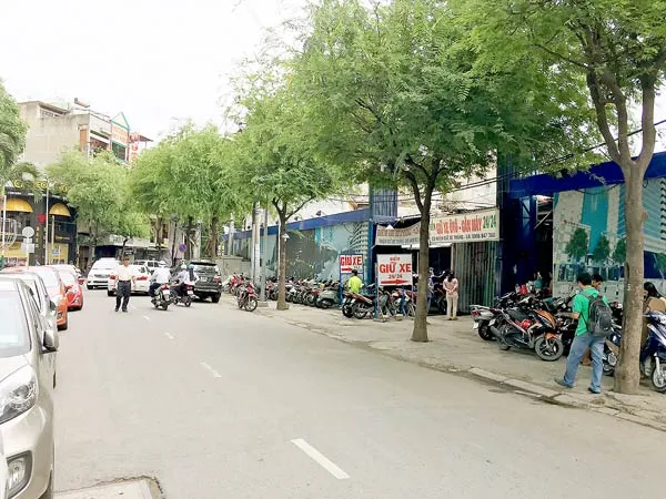 Ám ảnh đất vàng