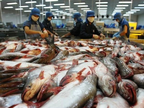 The Ministry of Agriculture and Rural Development has asked for tighter management of fishery products amid warnings by major import markets on food hygiene and safety standards of aquatic products.— VNA/VNS Photo Huy Hùng The Ministry of Agriculture and Rural Development has asked for tighter management of fishery products amid warnings by major import markets on food hygiene and safety standards of aquatic products.— VNA/VNS Photo Huy Hùng