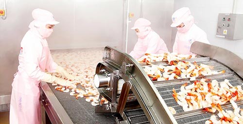 A shrimp processing plant in the Mekong Delta (Photo: SGGP) A shrimp processing plant in the Mekong Delta (Photo: SGGP)