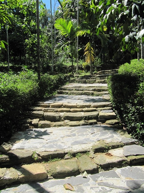 In touch with nature: The entrance to an ancient house is paved with stones and two rows of green trees on each side. (Photo: VNS)