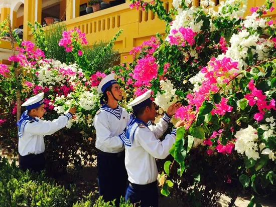 Những ô màu rực rỡ ở Trường Sa ảnh 6 Những ô màu rực rỡ ở Trường Sa ảnh 6