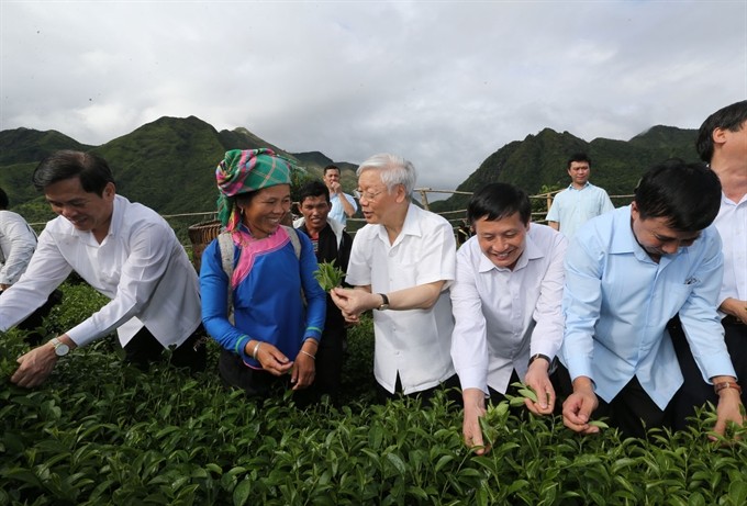 Party General Secretary Nguyễn Phú Trọng (centre) talks with farmers while visiting a tea farm in Bản Cốc Phát Commune in northern mountainous province of Lai Châu’s Tam Đường District. — VNA/VNS Photo Trí Dũng Party General Secretary Nguyễn Phú Trọng (centre) talks with farmers while visiting a tea farm in Bản Cốc Phát Commune in northern mountainous province of Lai Châu’s Tam Đường District. — VNA/VNS Photo Trí Dũng