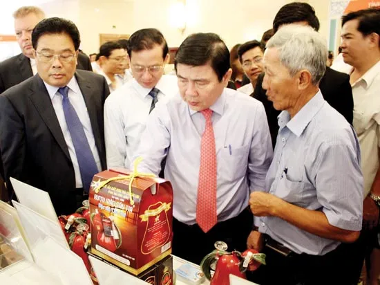 Vùng đồng bằng sông Cửu Long - TPHCM: Hợp sức phát triển kinh tế