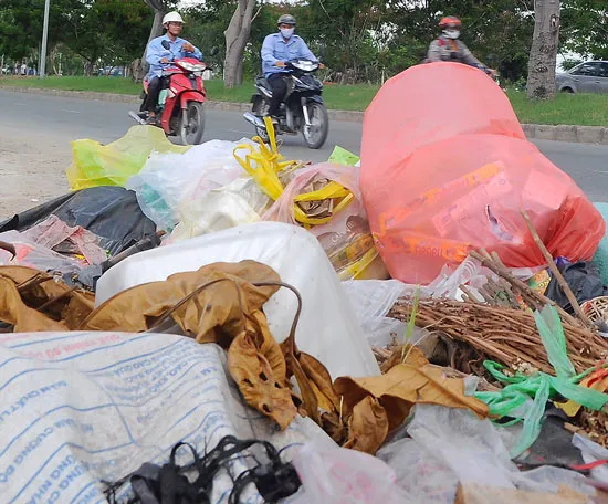 Cần đồng bộ hạ tầng kỹ thuật và hệ thống quản lý