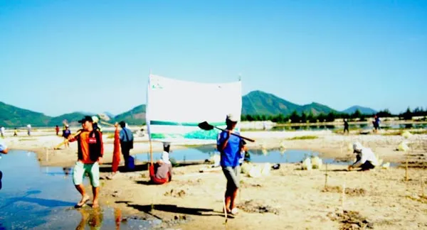 Trồng hơn 10.000 cây ngập mặn ven đầm Lăng Cô