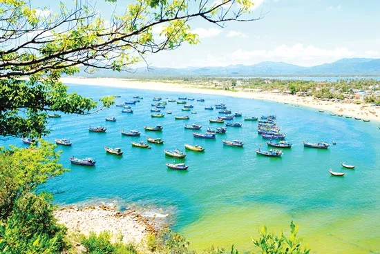 Về sông Cầu quê anh