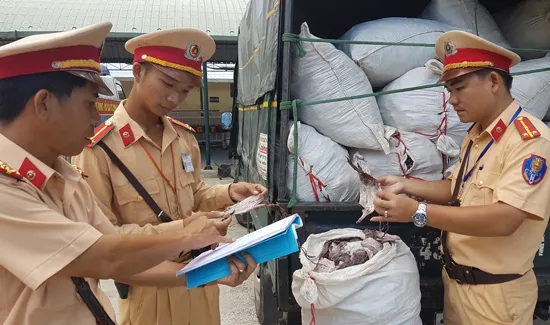 Đà Nẵng phát hiện 2 tấn mực khô bẩn