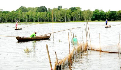 Locals in Long Xuyen Quadrangular area are fishing in big flood (Photo: SGGP) Locals in Long Xuyen Quadrangular area are fishing in big flood (Photo: SGGP)