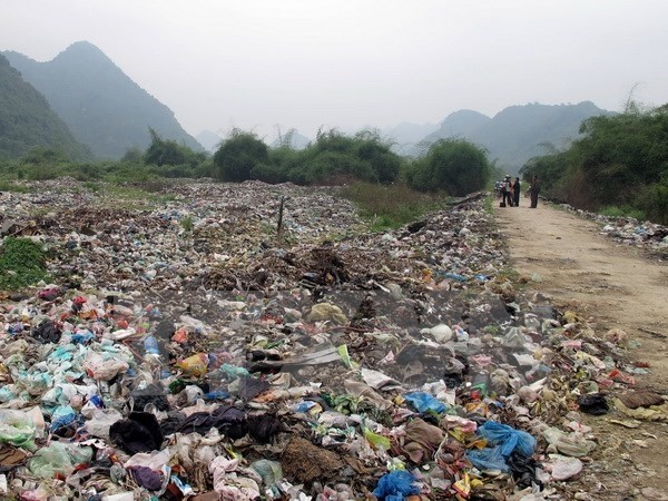 In HCM City’s District 7, twigs, leaves and other parts shed by trees are no longer sent to solid waste treatment plants for burial but are instead recycled for compost.— VNA/VNS Photo Quốc Đạt In HCM City’s District 7, twigs, leaves and other parts shed by trees are no longer sent to solid waste treatment plants for burial but are instead recycled for compost.— VNA/VNS Photo Quốc Đạt
