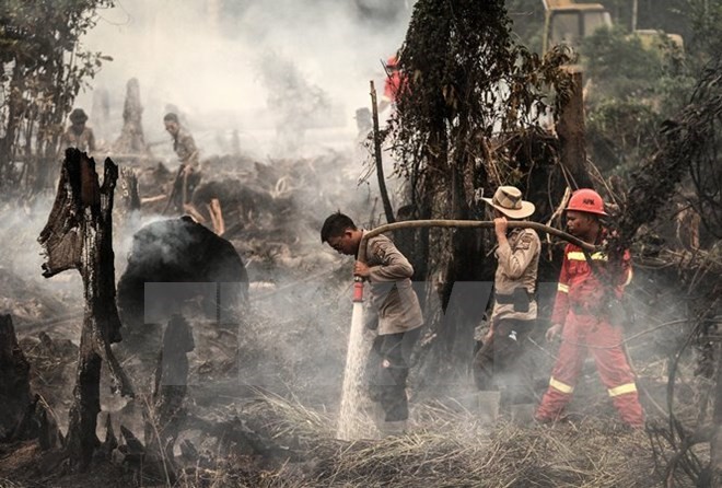 Indonesia strengthens forest fires monitoring in Kalimantan (Photo: EPA/VNA) Indonesia strengthens forest fires monitoring in Kalimantan (Photo: EPA/VNA)