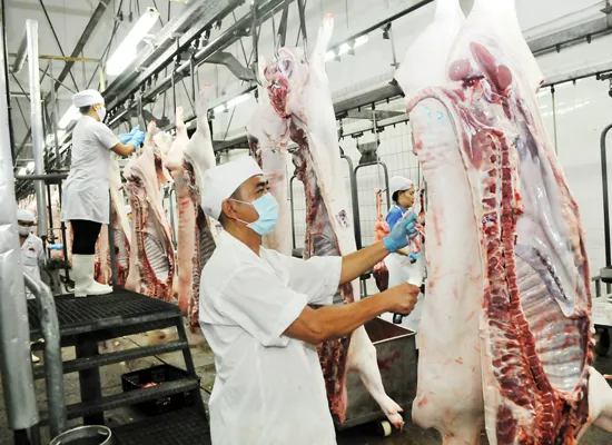 Để không còn thịt heo bẩn trên các quầy kệ