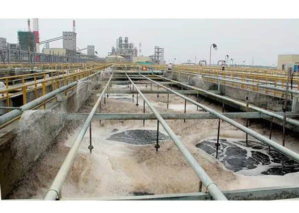 Không vì kinh tế mà đánh đổi môi trường ảnh 2 Không vì kinh tế mà đánh đổi môi trường ảnh 2