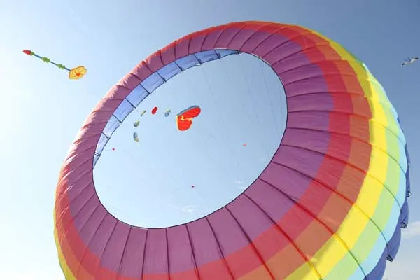 Lần đầu tiên tổ chức lễ hội Diều trên bãi biển Đà Nẵng ảnh 2