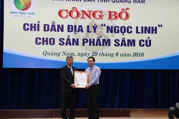 Công bố chỉ dẫn địa lý "Ngọc Linh" cho sản phẩm sâm củ