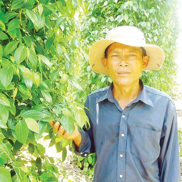 Ẩn số Tân Khai