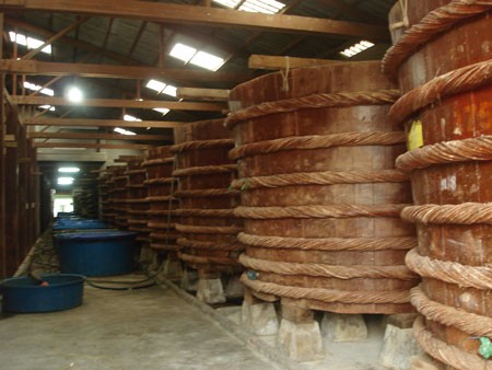 A fish sauce production establishment in Phan Thiet city (Photo: U.Phuong) A fish sauce production establishment in Phan Thiet city (Photo: U.Phuong)
