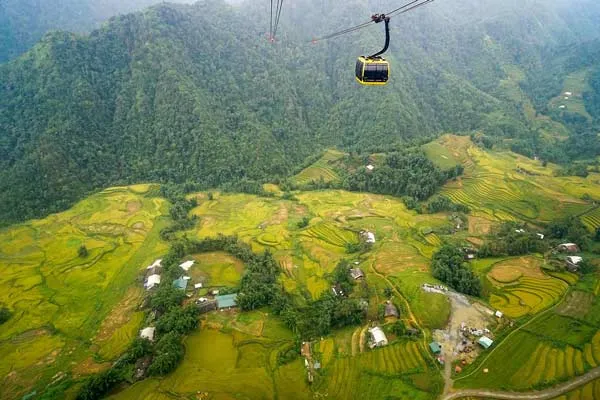Vẻ đẹp thơ mộng của thung lũng Mường Hoa mùa lúa chín