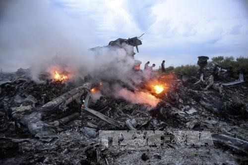The scene of the Malaysia Airlines' flight MH17's explosion in Donetsk, Ukraine. (Source: EPA/VNA) The scene of the Malaysia Airlines' flight MH17's explosion in Donetsk, Ukraine. (Source: EPA/VNA)