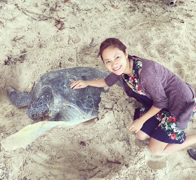 Patting a turtle: A volunteer tends to a mother turtle after she has laid her eggs. (Photo: VNS) Patting a turtle: A volunteer tends to a mother turtle after she has laid her eggs. (Photo: VNS)