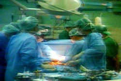 The Children Hospital in HCMC's doctors have succeeded in the liver transplant for a child, Photo: SGGP The Children Hospital in HCMC's doctors have succeeded in the liver transplant for a child, Photo: SGGP