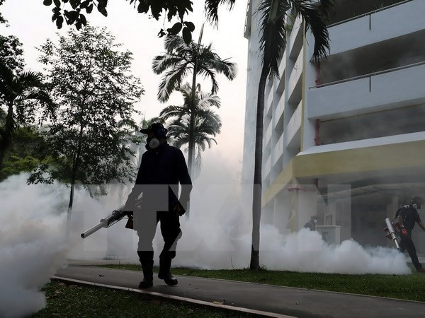 Singaporean health workers are spraying chemicals to kills mosquitoes (Source: AFP/VNA) Singaporean health workers are spraying chemicals to kills mosquitoes (Source: AFP/VNA)