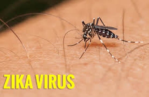 Illustrative image (Source: VNA) Illustrative image (Source: VNA)
