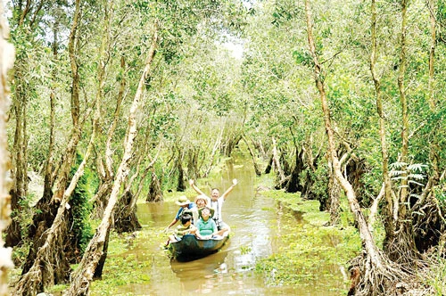 Đi trong hương tràm