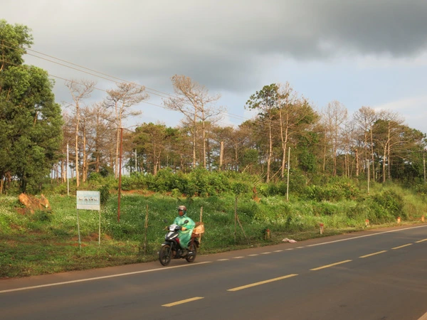 Yêu cầu ông Nguyễn Thanh Sơn giải trình việc sử dụng đất rừng