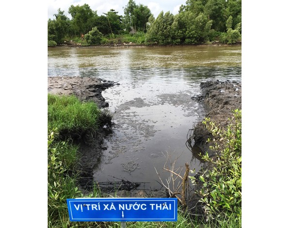 The Government has increased administrative penalty for environmental violations (Photo: SGGP) The Government has increased administrative penalty for environmental violations (Photo: SGGP)