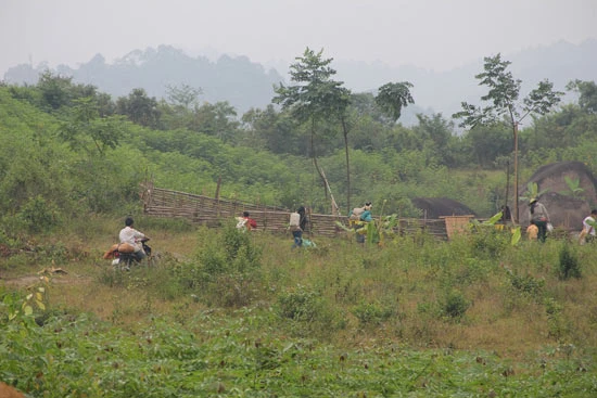 Đổ xô đào quặng