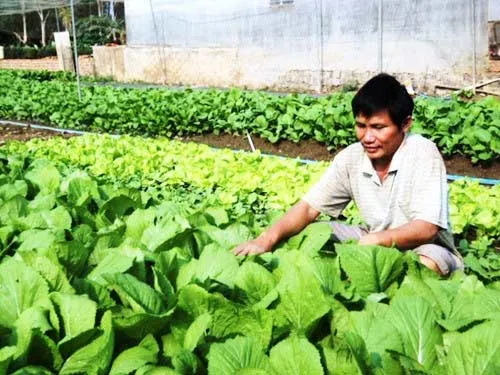 Sản phẩm sạch thiếu chỗ đứng trên thị trường