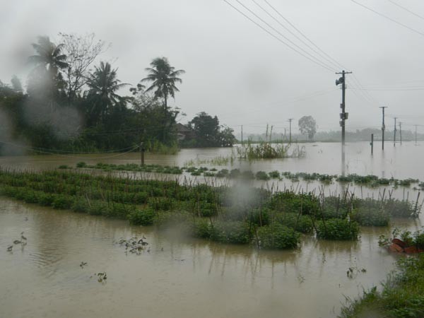 Localities are isolated by flooding Localities are isolated by flooding