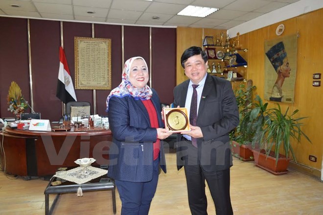General Director of the Voice of Vietnam Nguyen The Ky presents a souvenir to chairwoman of the Egypt National Radio Nadia Mabrouk (Photo: VNA) General Director of the Voice of Vietnam Nguyen The Ky presents a souvenir to chairwoman of the Egypt National Radio Nadia Mabrouk (Photo: VNA)