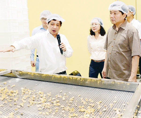 Cần có chính sách nuôi dưỡng doanh nghiệp Việt