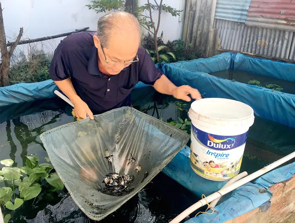 Cá ông tiên dễ nuôi, thu nhập cao