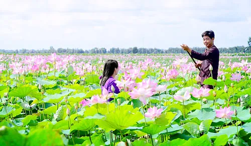 Kết nối du lịch TPHCM - ĐBSCL