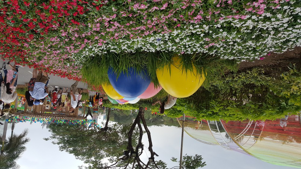 The Southern region experiences sunny weather in the Tet holiday -Photo: Đ.L The Southern region experiences sunny weather in the Tet holiday -Photo: Đ.L
