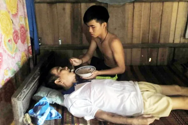 Lên rừng đốn củi nuôi cha mẹ bệnh tật