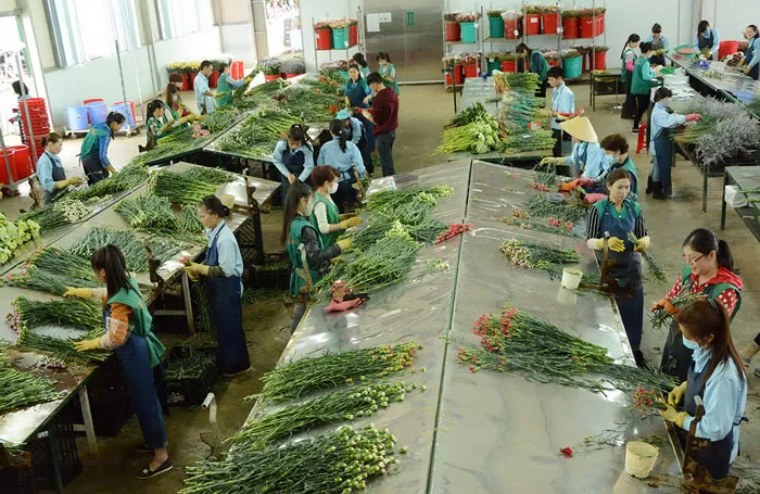 Đà Lạt sẽ có trung tâm giao dịch hoa